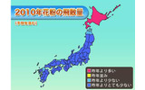 ウェザーニュースの画像