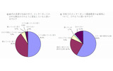 若者にとってのインターネット/インターネット関連教育の必要性の画像