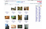 Yahoo!検索（画像）検索結果の画像