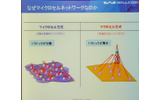 通話定額プランや常時接続サービス提供の背景にあるマイクロセル方式の優位性の画像