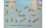 メッシュアクセスポイントの隣接ネットワーク自動検出の仕組みの画像