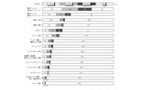 過去1年間のファイル種類別ダウンロード数(第8回「ファイル共有ソフト利用実態調査」より)の画像