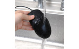 水洗いのイメージの画像