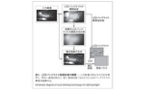 図1.LEDバックライト制御技術の概の画像