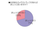 お洒落なカメラストラップがあれば欲しいと思いますか？の画像