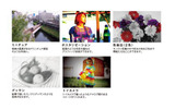 個性的な写真表現が楽しめる「デジタルフィルター」のイメージの画像