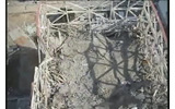 福島第一原発1号機の画像