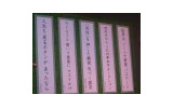 TEPCOひかりのネットイベント「ブロードバンド川柳コンテスト」、結果発表はさとう珠緒が審査委員長の画像