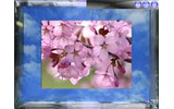 シグナルトーク・コーポレーションは、動画のピース(破片)を組み合わせて1枚の動画を作る新感覚のパズルゲーム「eMotion Puzzle」を発表した。の画像