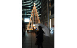 今週はクリスマス企画で行こう、となりました。当方も若い女子。でも、クリスマスの朝の、燃えたぎるような熱情が消え失せた身としては、やや盛り上がりを欠けてます。こんなではいけない！クリスマス一色の街に飛び出して感化されてこよう！の画像