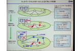 ：分散方式によるトラフィック制御。ダイナミックな経路変更やトラフィック制御がしやすい。反面、ノードの認証や経路のセキュリティ、QoSには本来向いていないの画像