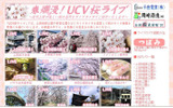 春爛漫!UCV桜ライブの画像