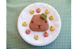 “おいしい”カピバラさん写真コンテストの画像