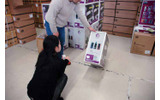 会社以外で、復活を待つ声を聞いたことがありません。なのにみおみお、3度目の登場です。お久しぶりです。早速ですが、だまされました。の画像