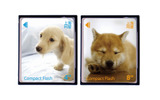 【左】4GBモデル(ダックスフント)【右】8GBモデル(柴犬)の画像