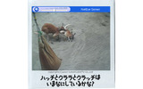 ライブカメラの映像の様子の画像