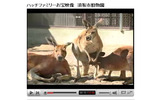 YouTubeでのPR動画の画像