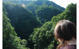 どうだ!この景色の画像