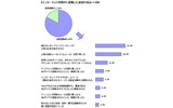 インターネット利用中に経験した迷惑行為の画像