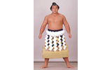千代の富士の画像