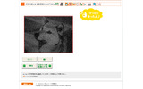 ねこ親子の画像を重ねると、いぬの画像に。透明シートに印刷したものでも同じ「あぶりだし」が可能だの画像