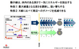 X線治療と違い、患部の深さによってエネルギーを調整できるの画像