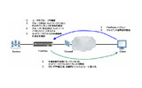 FirePassによるSSL-VPNの概念図の画像