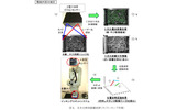 3次元物体認識技術(ネジピッキング作業)の画像