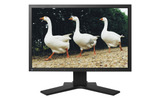 EIZO ColorEdge CG222Wの画像