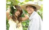 ぶどう畑のあの男の画像