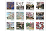 ニッポンの桜だよりの画像