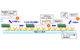 成功した技術のイメージの画像