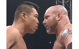 ハッスル 全試合配信の画像