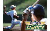 「MBS 第80回記念選抜高等学校野球大会」特設ページの画像