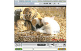ニコニコ動画風画像ジェネレータのサンプル：通常は写真データをアップして貼り付けるが、ここに自作イラストを貼り付けて生成された画像をpixivに投稿するの画像