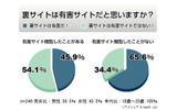 裏サイトに関する意識調査の画像