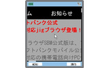 拡大画面の例の画像
