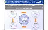 アルバリオンのOpen WiMAX戦略(アルバリオン提供)の画像