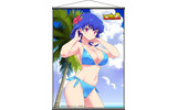 CRミニスカポリス2の画像