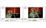 テレビコマーシャルの内容の一部の画像