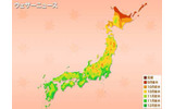 紅葉情報の画像