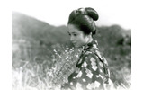 「野菊の如き君なりき」の画像
