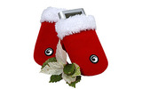 　ヘビームーンは、米MarwareのiPod/iPod mini用キャリングケース「SportSuit Santaシリーズ」を11月27日に発売する。iPod/iPod mini用クリスマスプレゼント向け製品。の画像