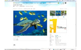 Windows Live フォトの画像