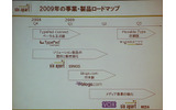 2009年のロードマップの画像