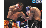 K-1 WORLD MAX2008の画像