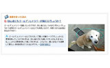 動画添付のQ＆A例の画像