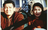 AIIは、1990年代の日本映画を配信する「That’s アルゴ・ピクチャーズ」を開始した。の画像