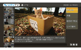 ひかりTVのビデオサービス(VODサービス)画面の画像