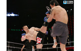 Dynamite!!勇気のチカラ2008の画像